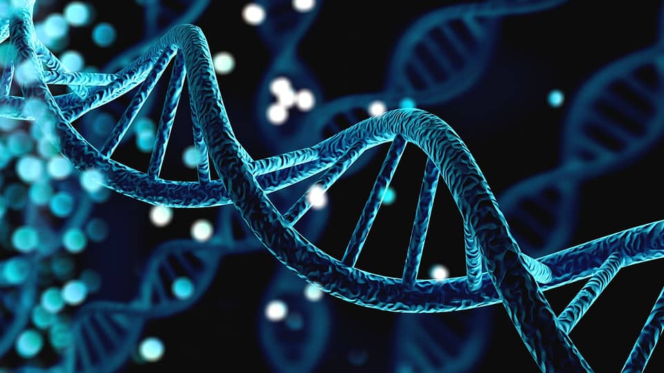 Blue,Helix,Human,Dna,Structure